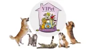 VIPet Sitter Service