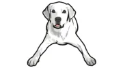 Tucker Pup's Pet Resort