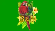 Birds & More