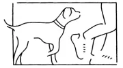 Follow My Lead