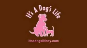 It's a Dog's Life NY