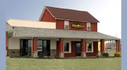 Giggy Bites