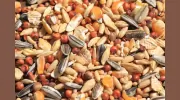 Dillard Feed & Seed Store