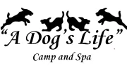 A Dog's Life Camp & Spa