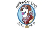 Uptown Dog Cape Cod