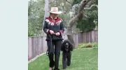Pam Jackson Dog Training