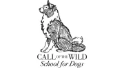 Call of the Wild Dog Training