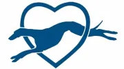 Colorado Greyhound Adoption