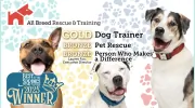 All Breed Rescue & Training