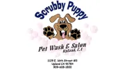 Scrubby Puppy
