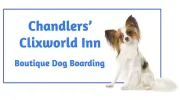 Clixworld Inn Dog Boarding