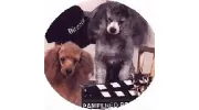 Pampered Pooch
