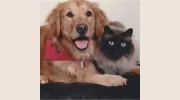 C & D Pet Products