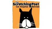 Scratching Post Cat Hospital