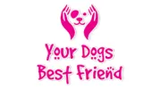 Your Dog's Best Friend