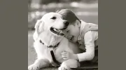 Honor Service Dogs