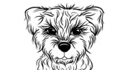 Doggie Styles Salon