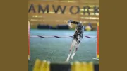 Teamworks Dog Training