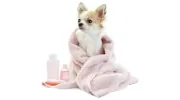 Nanhall Pet Spa