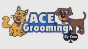 Ace Grooming by Sara