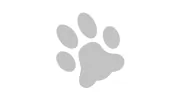 Alpha Dog Training Center