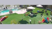 Dioji K-9 Resort & Athletic Club