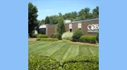 Cobb Animal Clinic