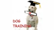 K-9's Best Friend