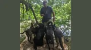 happytails DOG WALKING & PET CARE SERVICES