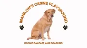 Manilow's Canine Playground