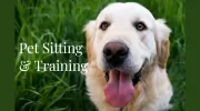 Pet Sitters Plus