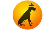 Doggie Daycare