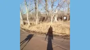 Have Leash Will Travel