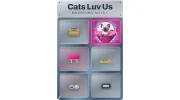 Cats-Luv-Us Boarding Hotel