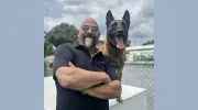 Dogs By Andy