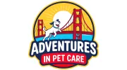 Adventures In Dog Walking
