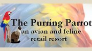 The Purring Parrot