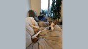 Precious Moments Pet Care Services