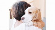 Vets Pets Aac