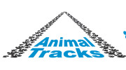 Animal Tracks