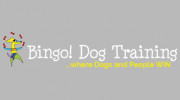 Bingo Dog Training
