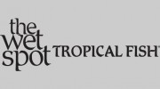Wet Spot Tropical Fish