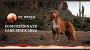 D C Ranch Animal Hospital