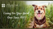 Arlington South Veterinary Hospital