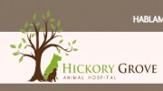 Hickory Grove Animal Hospital