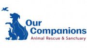 Our Companions Domestic Animal