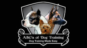 Dog Training Queens New York