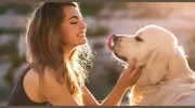Animal Friends Of The Valleys