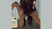 Woodcrest Kennel