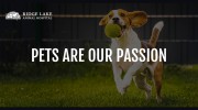 Ridge Lake Animal Hospital